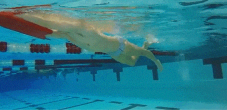 NjFnh, 是否存在今, 但一旦将腿