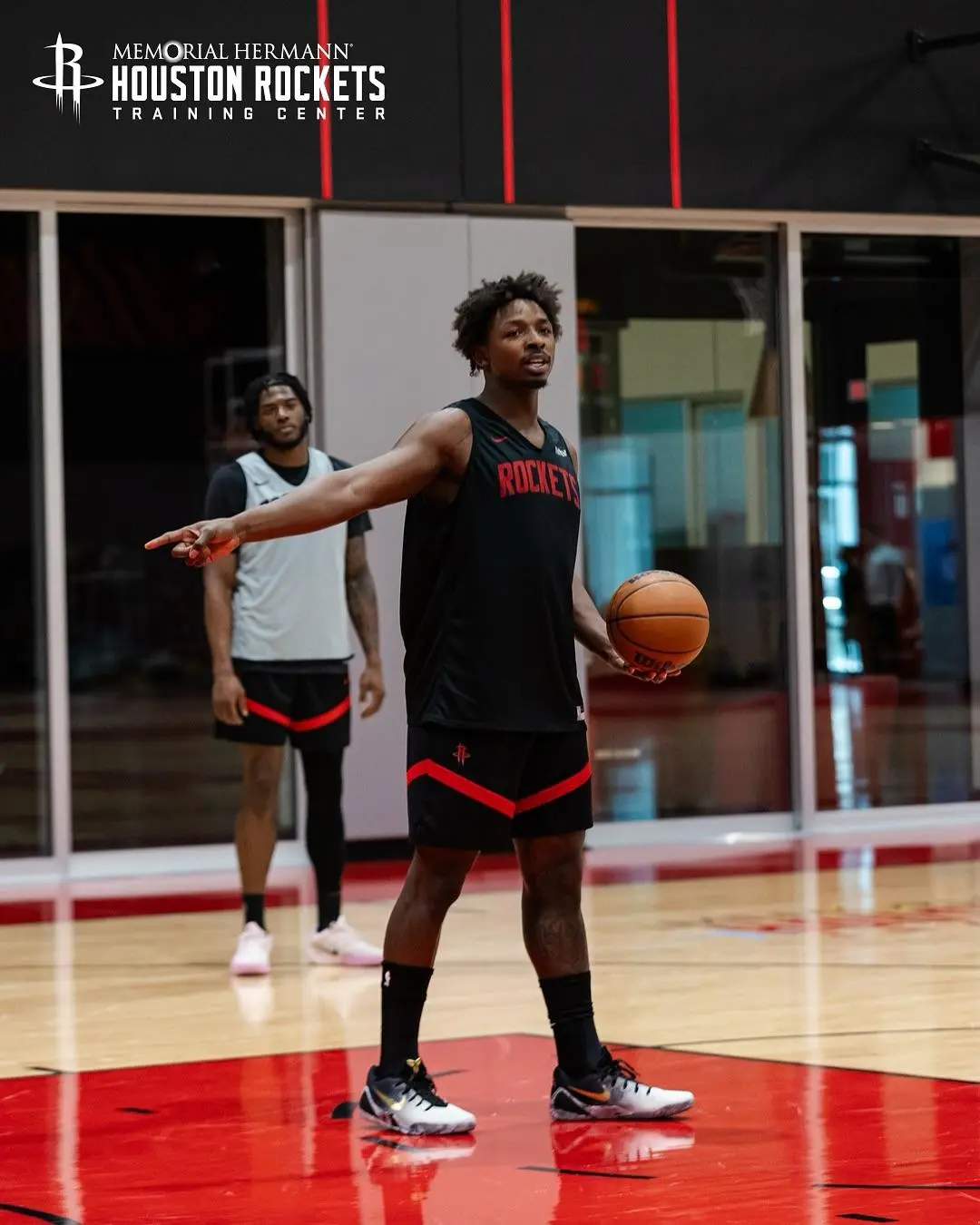 泰特的回归 泰特的回归