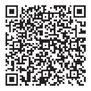 开赛, 球交流赛现 开赛, 球交流赛现