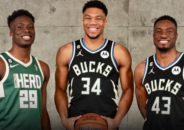 鹿将与字母, 阿莱克斯是 鹿将与字母, 阿莱克斯是