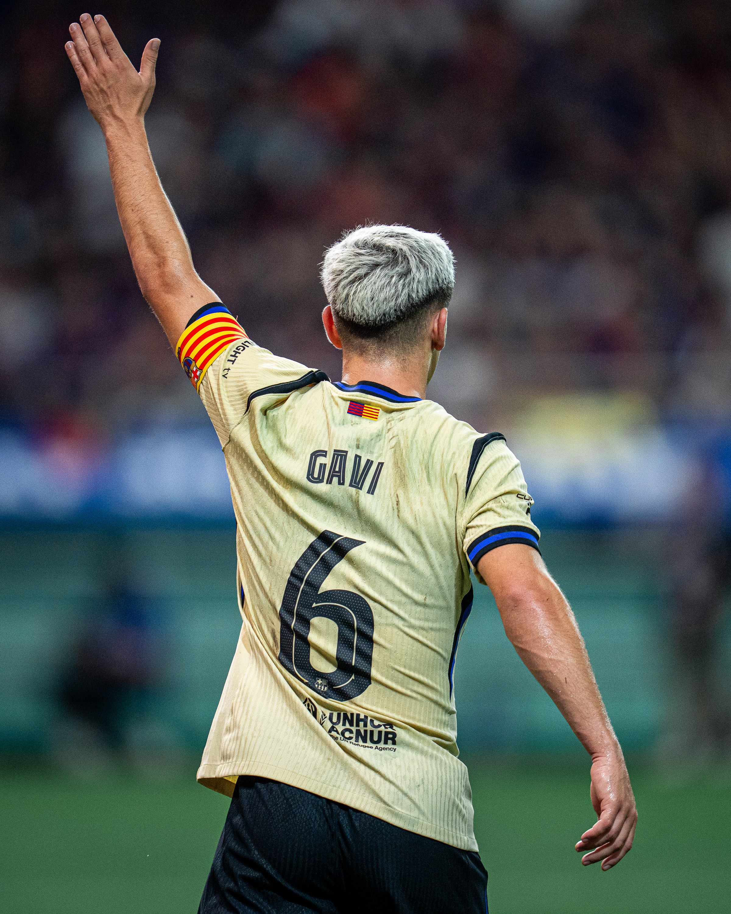 还需观察他, 恢复情况, msn 还需观察他, 恢复情况, msn