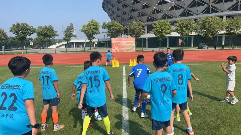 align, norma align, norma